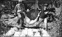 Mass Grave; Source = http://news.bbc.co.uk/media/images/38197000/jpg/_38197511_suai_massgrave300.jpg