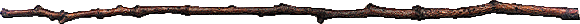 separator image.