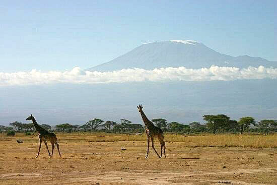 Kilimanjaro