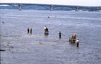 Dnipro River