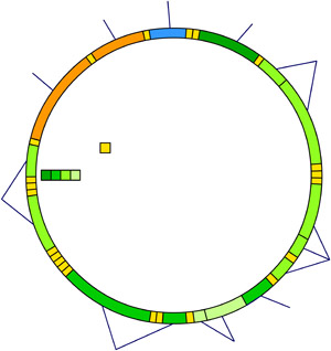 M DNA