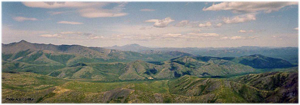 Source is http://www.ncdc.noaa.gov/paleo/parcs/atlas/beringia/landscap.html