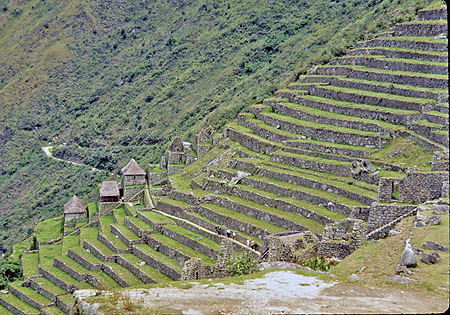 Inca Terraces