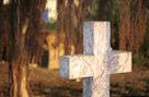 A photograph of a lone grave stone surrounded by trees